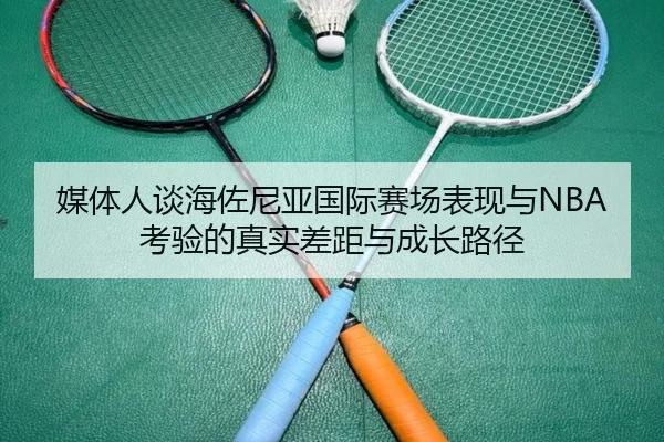 媒体人谈海佐尼亚国际赛场表现与NBA考验的真实差距与成长路径